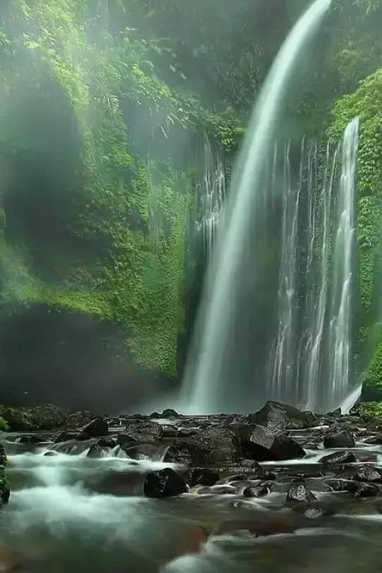 同心共建 “医”路前行