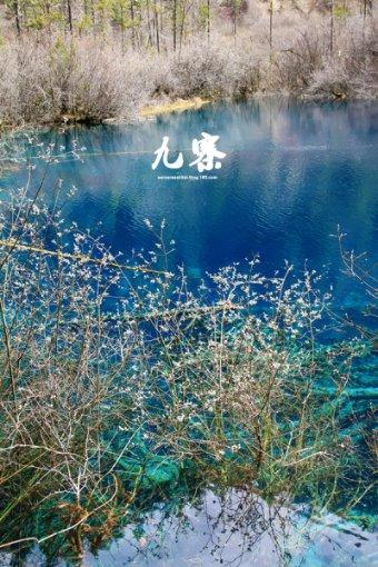 乐儿七巧板