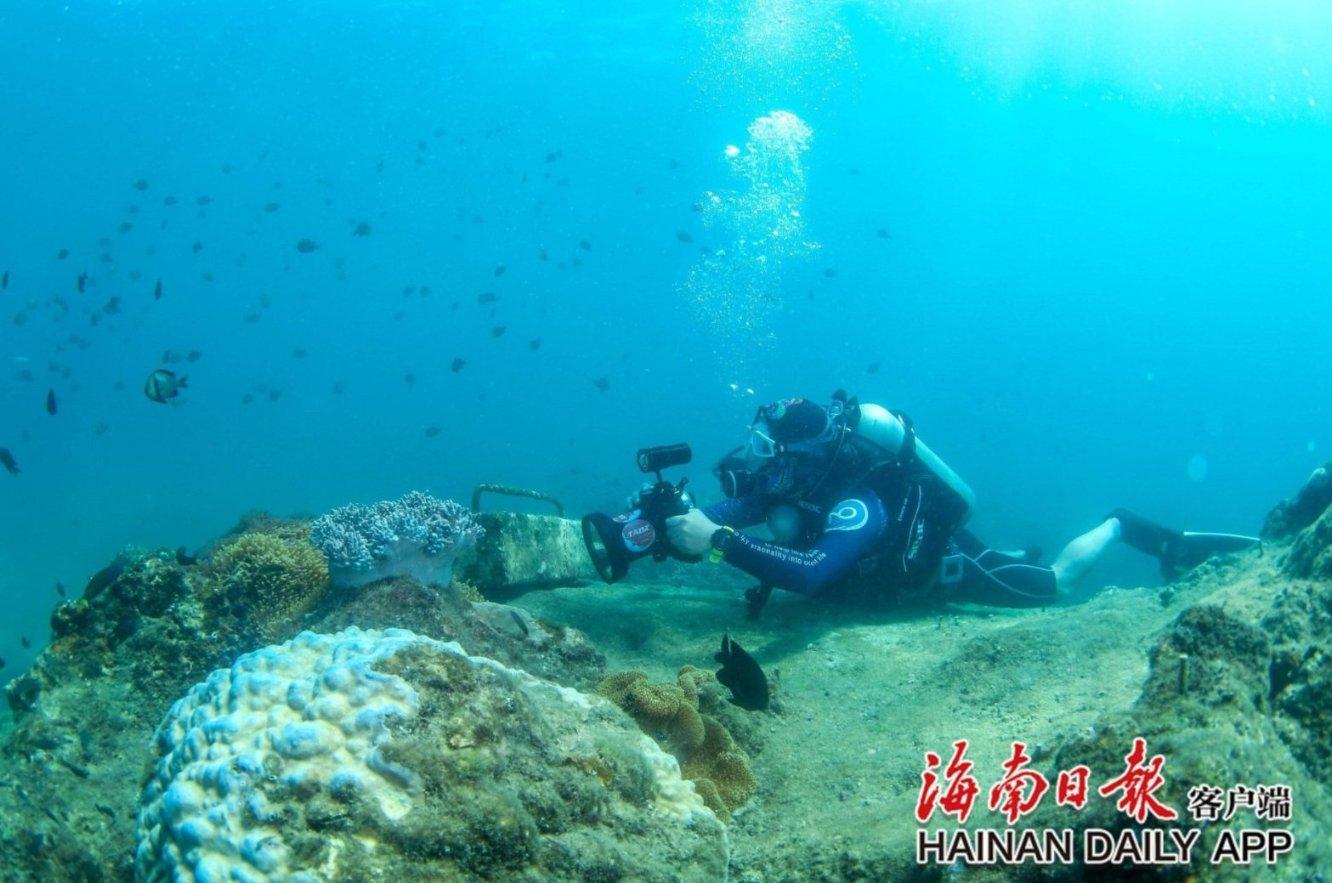 勿忘我