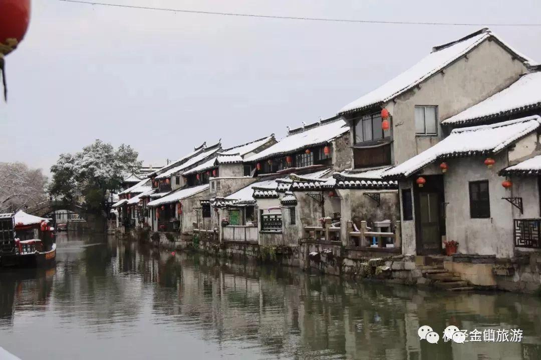 小犀牛救援